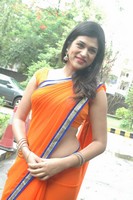 Actress Shraddha Das Saree Photos